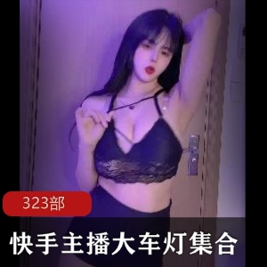 快手主播集合大车灯323部